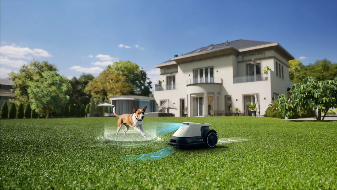 eufy Robot Lawn Mower E15 AI vision detects pet dog on large home lawn, smart obstacle avoidance demo