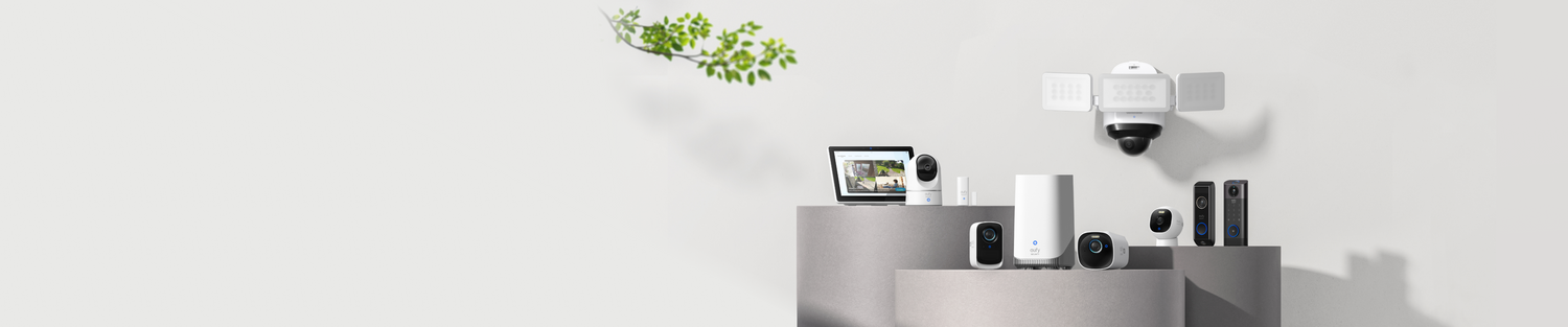 Video Baby Monitors